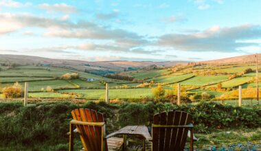 The best seats in the house.