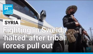 Syrian government says fighting in Sweida 'halted' after tribal forces pull out • FRANCE 24
