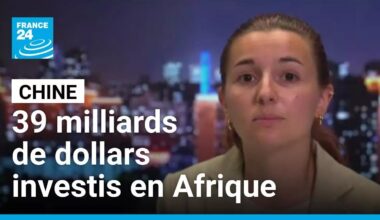 La Chine a investi 39 milliards de dollars en Afrique depuis le début de l'année • FRANCE 24