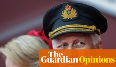 If the king of Belgium can speak the truth about Gaza, why can’t Europe’s cowardly politicians? | David Van Reybrouck