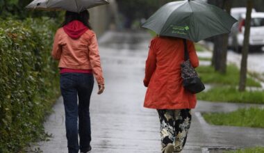 Hundstage-Wetter in der Schweiz: So werden die nächsten Tage