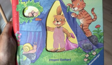 Looking for this book in OK condition! My son loves it but our second-have copy has many ripped parts.
