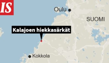 Kolme nuorta poikaa hädässä Kalajoella