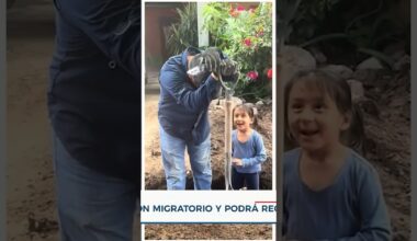 Hombre llora al recibir noticia migratoria que le permite volver a su casa | Noticias EstrellaTV