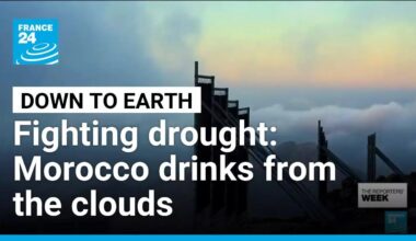 Down to Earth: How does Morocco turn fog into drinking water? • FRANCE 24 English