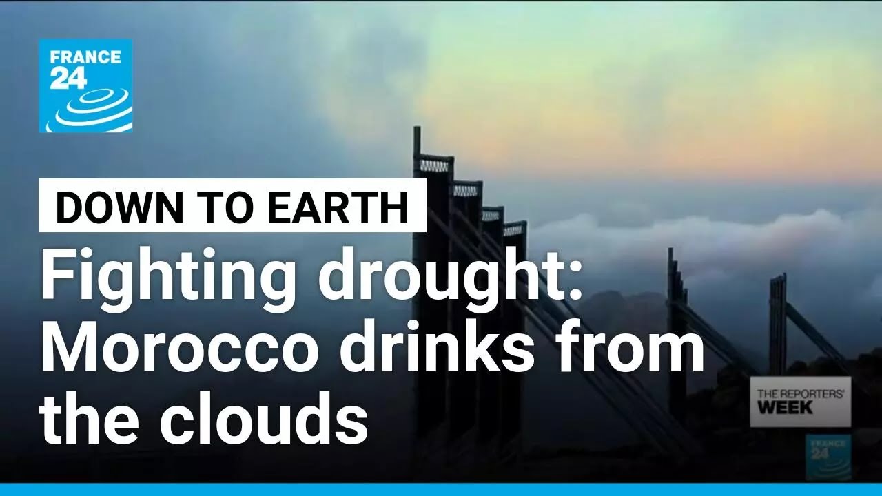 Down to Earth: How does Morocco turn fog into drinking water? • FRANCE 24 English