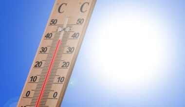 Valul de căldură afectează sudul, vestul şi sud-vestul ţării