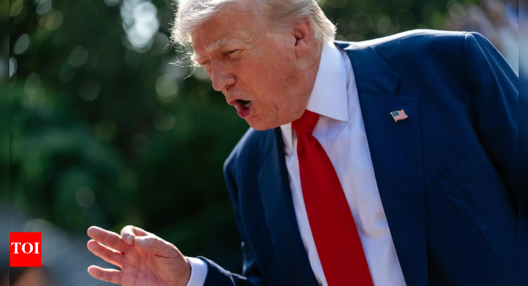 ‘Stop immigration and … wind mills’: Trump tells Europe to get its ‘act together’; boasts about US-Mexico border crackdown