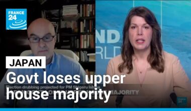 Japan's government loses upper house majority • FRANCE 24 English