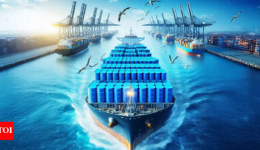 EU sanctions on Russia oil: Indian arm of UAE-based shipping company takes a hit; Indian-origin captain of crude oil tanker faces sanctions