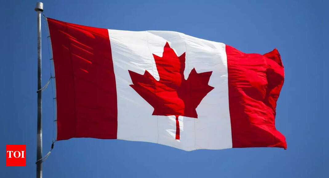 'It was never meant to be permanent': Canada to stop funding hotel rooms for asylum seekers, spent $1.1 billion since 2020