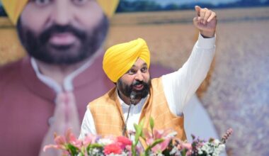 Environment panel to examine Bagga Kalan, Akhaara plants