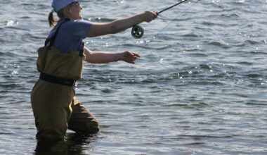 Salmon fishing weaker than last year