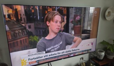 Vad jag uppskattar dessa positiva nyheter!