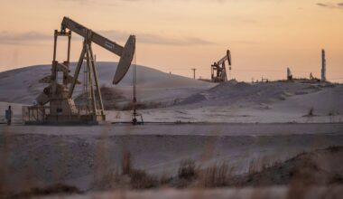 Hedge Funds Trim Bullish Oil Position as Tariff Deadline Nears