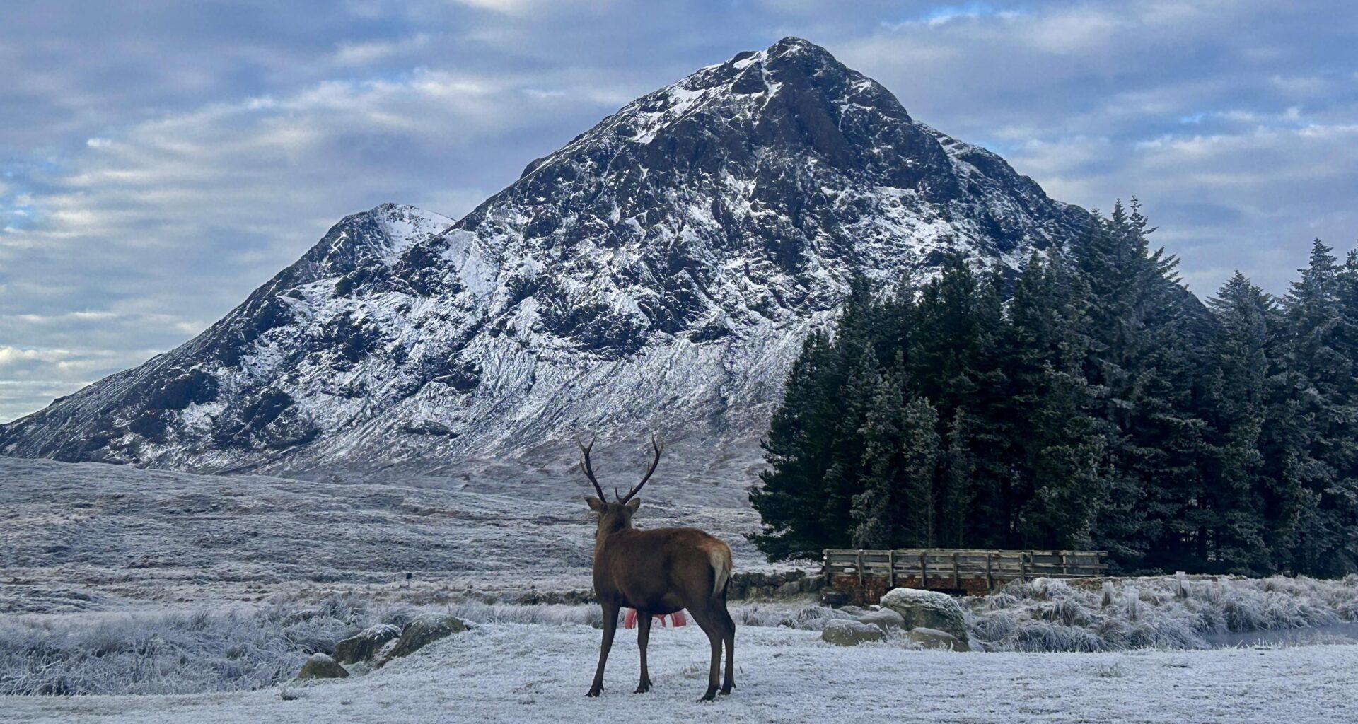 Photo I got in December. Really shows the beauty of the highlands!