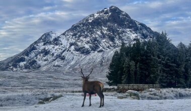 Photo I got in December. Really shows the beauty of the highlands!