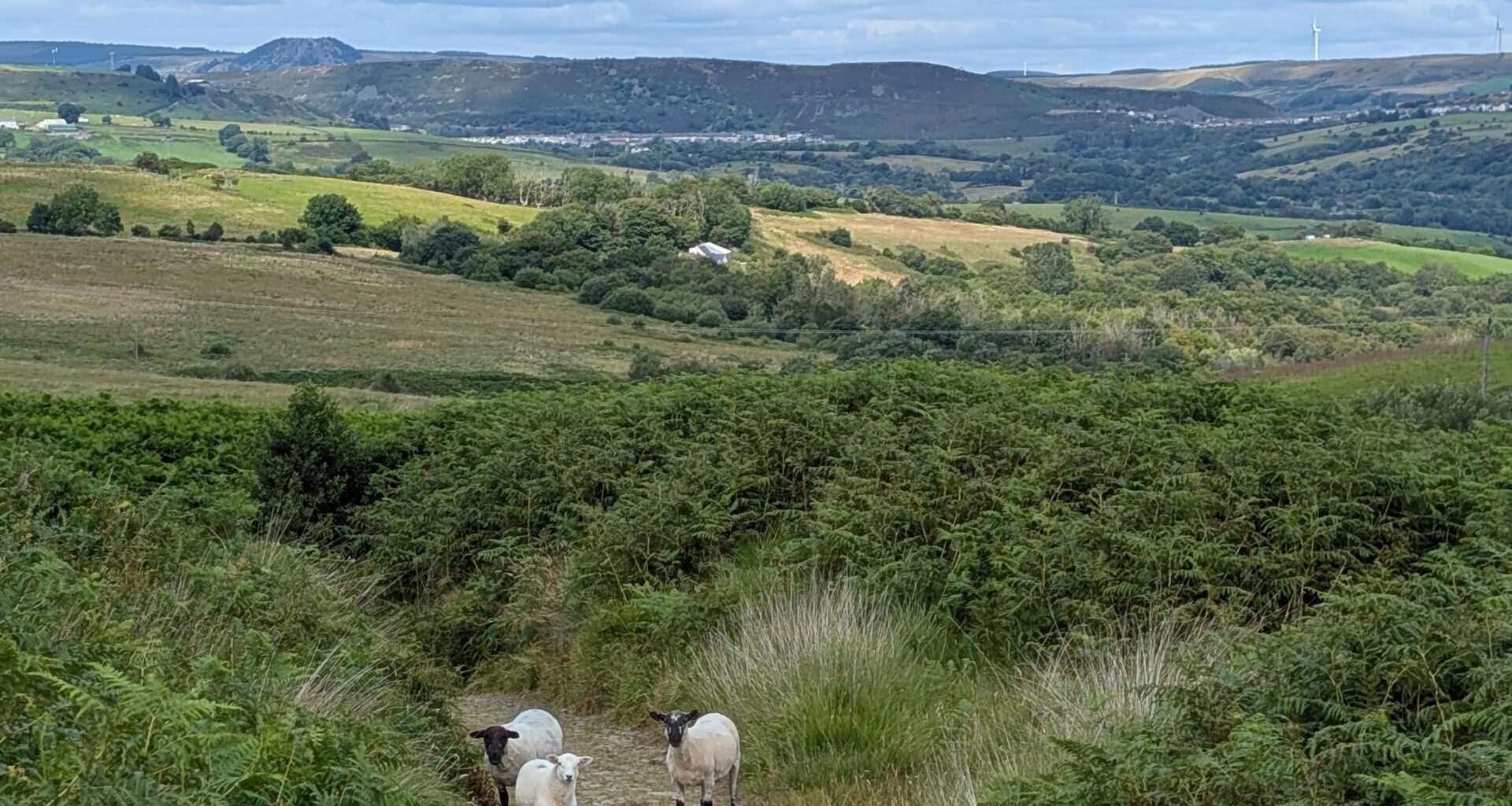The Rhondda Valleys in one Picture
