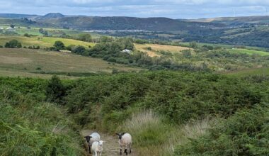 The Rhondda Valleys in one Picture