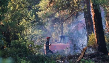 2 volunteers die fighting Turkey wildfires, raising deaths to 17 since late June