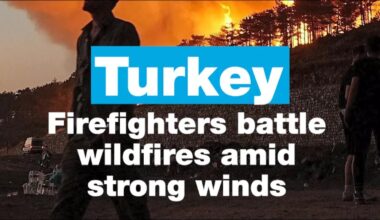 Turkey: Firefighters battle wildfires amid strong winds • FRANCE 24 English