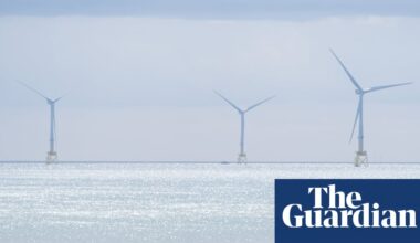 Tilting at windmills? Trump’s claims about turbines fact-checked | Wind power