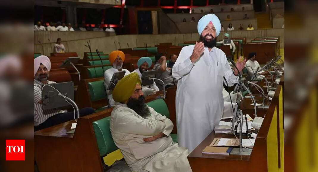 Bajwa meets Australia MPs, urges for consulate in Chandigarh | Chandigarh News