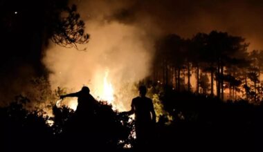 Turquie : vastes incendies et chaleur extrême • FRANCE 24
