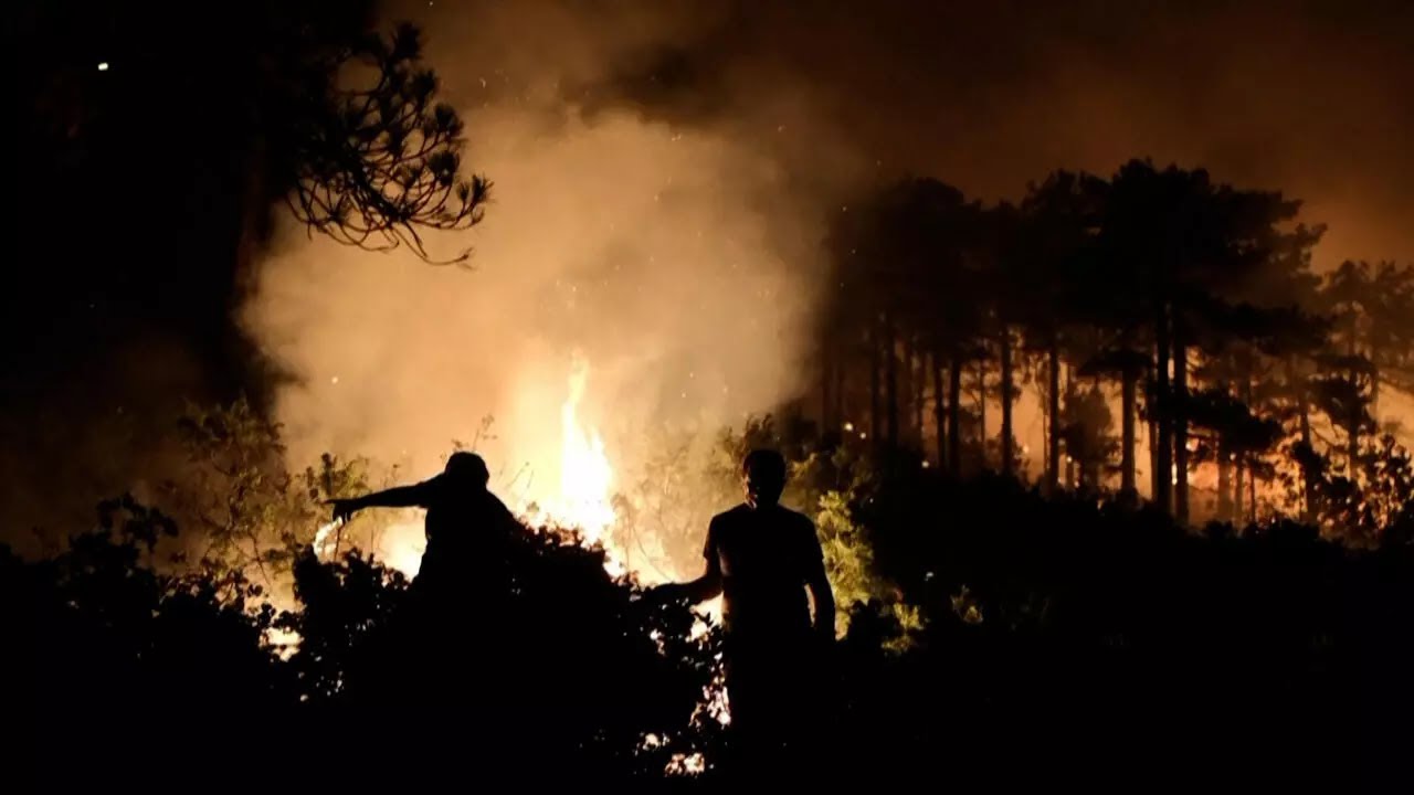 Turquie : vastes incendies et chaleur extrême • FRANCE 24