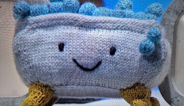 The University of Bath's bathtub mascot, Tubby, on this evening's episode of University Challenge