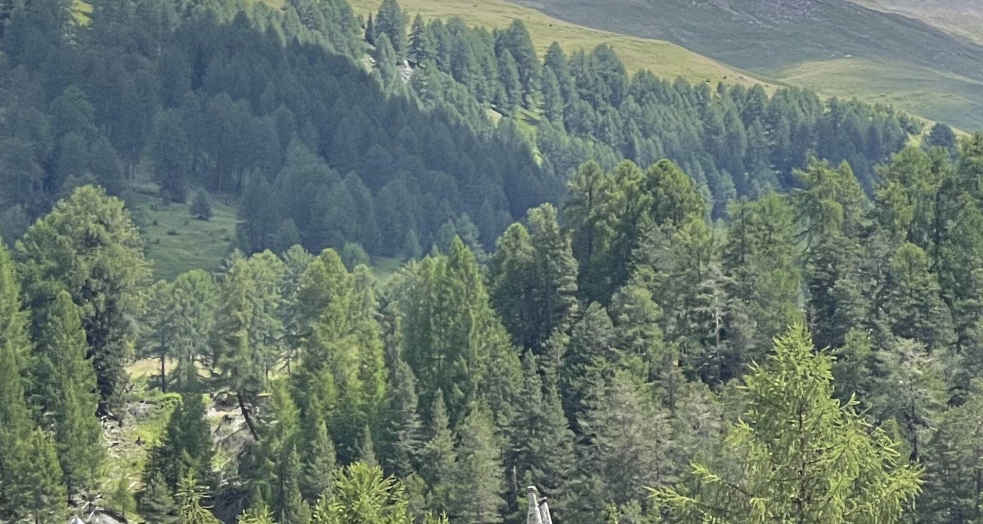 Unterwegs im Val Sinestra
