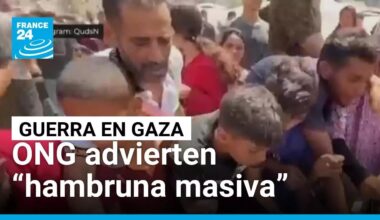 "Van a buscar comida y vuelven muertos": ONG advierten "hambruna masiva" en Gaza