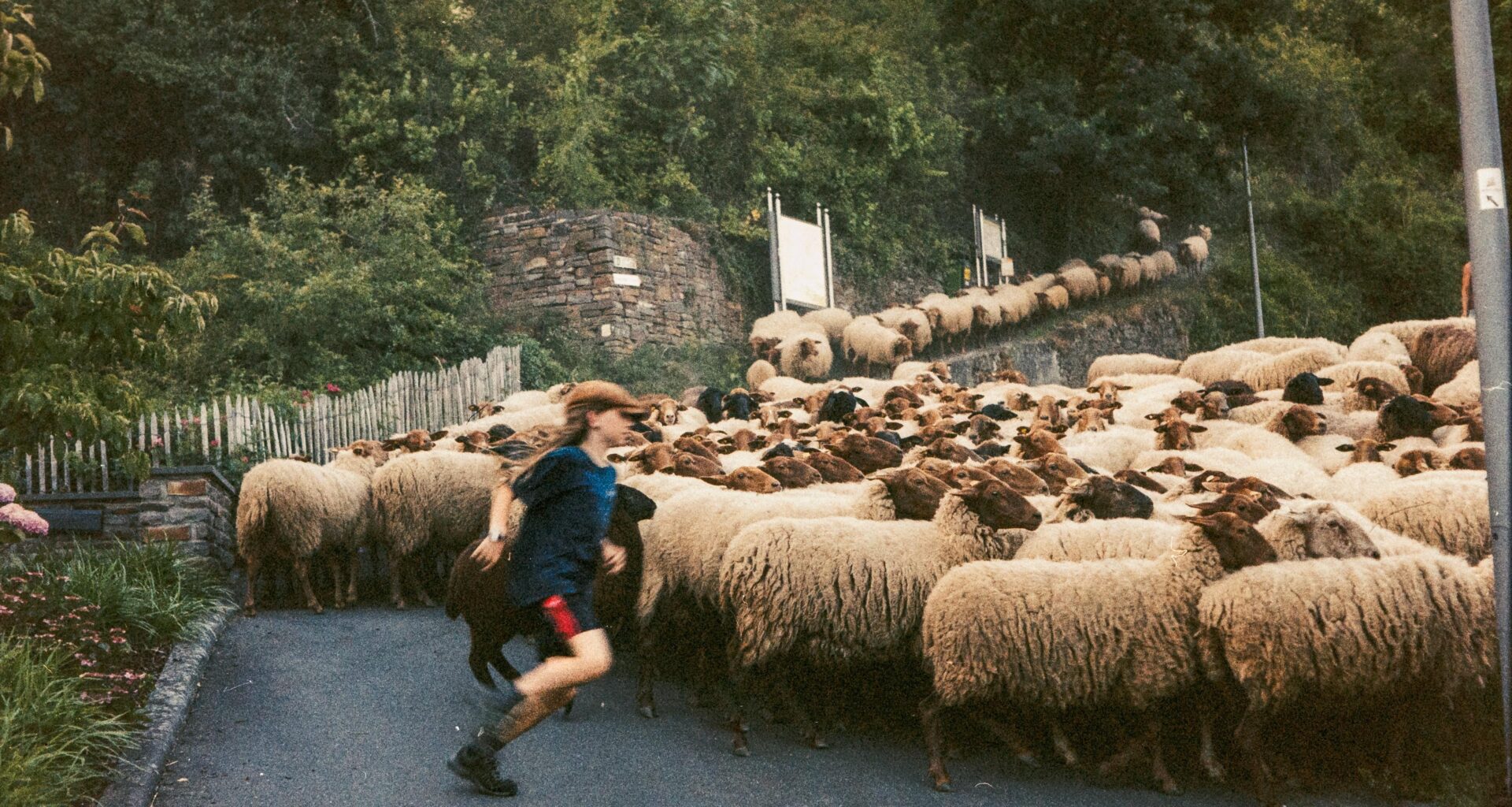 A weekend in the Mosel wine region with German film and a German camera