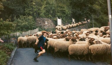 A weekend in the Mosel wine region with German film and a German camera
