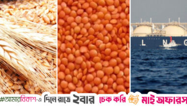 Govt to import $1.5b wheat, pulses, LNG from US to secure tariff relief
