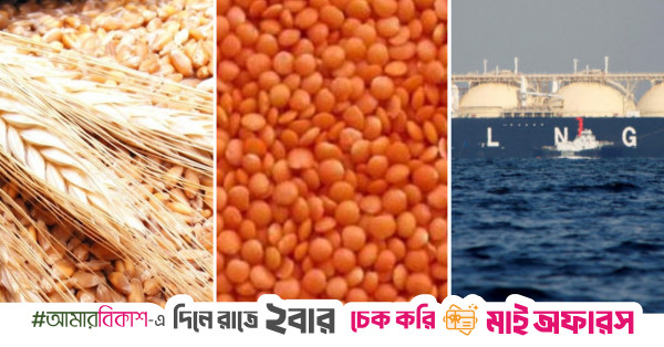 Govt to import $1.5b wheat, pulses, LNG from US to secure tariff relief