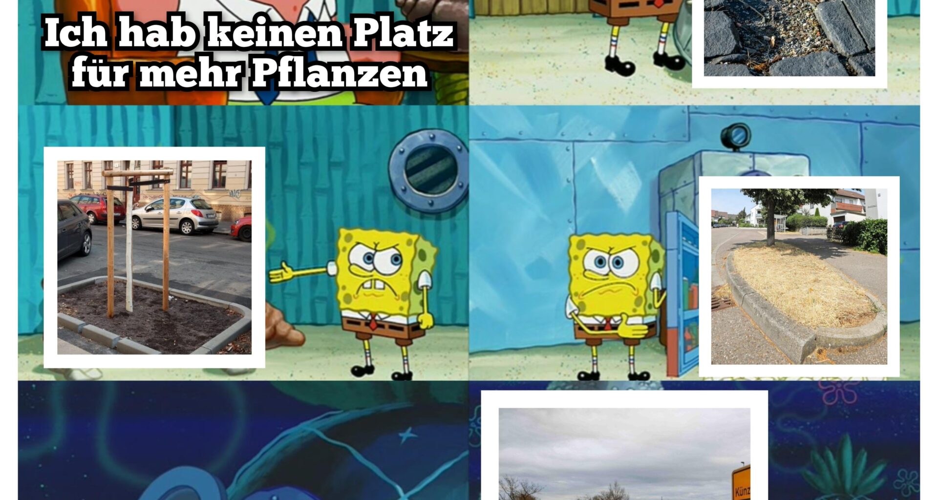 Du könntest deine Stadt grüner machen 🌱