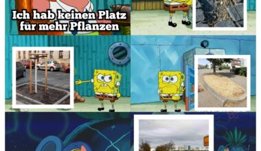 Du könntest deine Stadt grüner machen 🌱