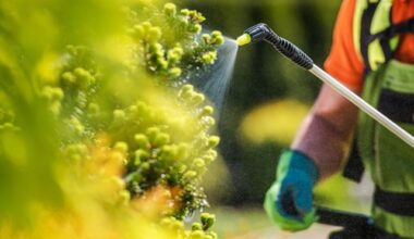 Half of UK councils continue spraying pesticides in parks and playgrounds, study finds