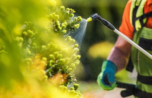 Half of UK councils continue spraying pesticides in parks and playgrounds, study finds