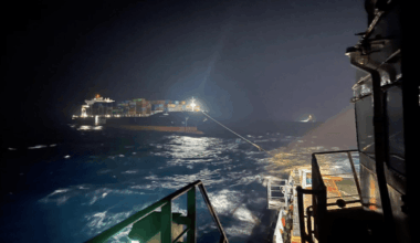Fire Aboard Container Ship "PUMBA" Near Gulf of Suez Successfully Extinguished: Petroleum Min.