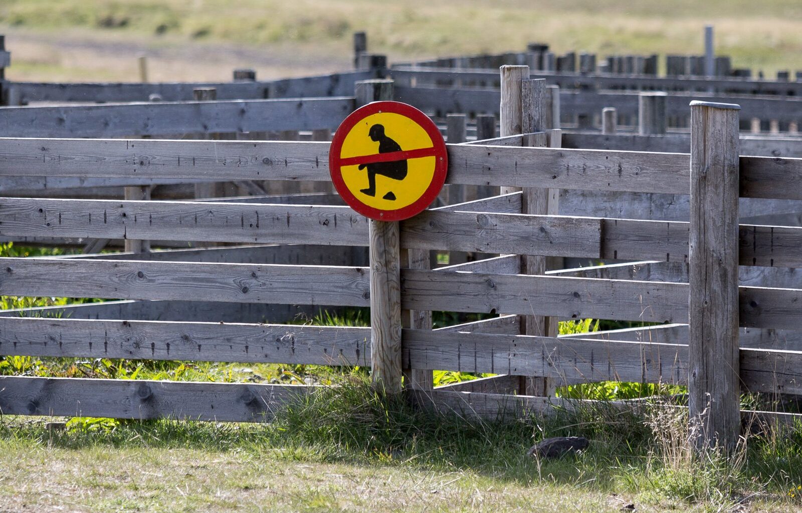 From Iceland — Tourist Numbers Overwhelm Septic System In Vík