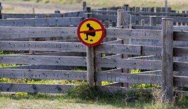 From Iceland — Tourist Numbers Overwhelm Septic System In Vík