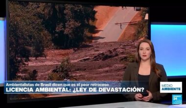Brasil debilita sus licencias ambientales con la llamada “ley de devastación” • FRANCE 24