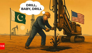 Donald Trump to help Pakistan build ‘massive oil reserves’! How much known crude oil does it have & how does that compare to India? Top points to know