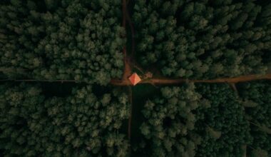 Brazil urged to reject bill slashing environmental safeguards, UN warns