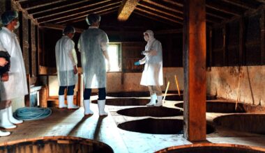 Interested In Fermented Food? Japan's Traditional Producers Can Help You Learn
