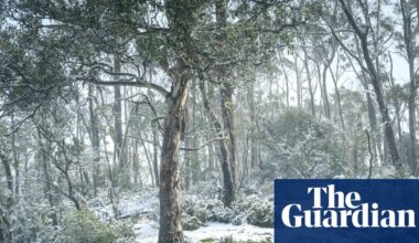 Snow predicted to fall in seven Australian states and territories this week | Australia weather
