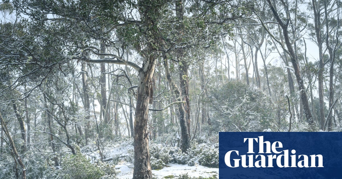 Snow predicted to fall in seven Australian states and territories this week | Australia weather