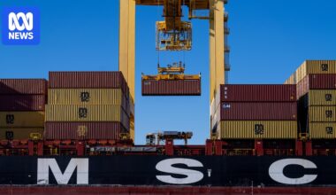 IMF says global and Australian economy showing resilience against tariffs
